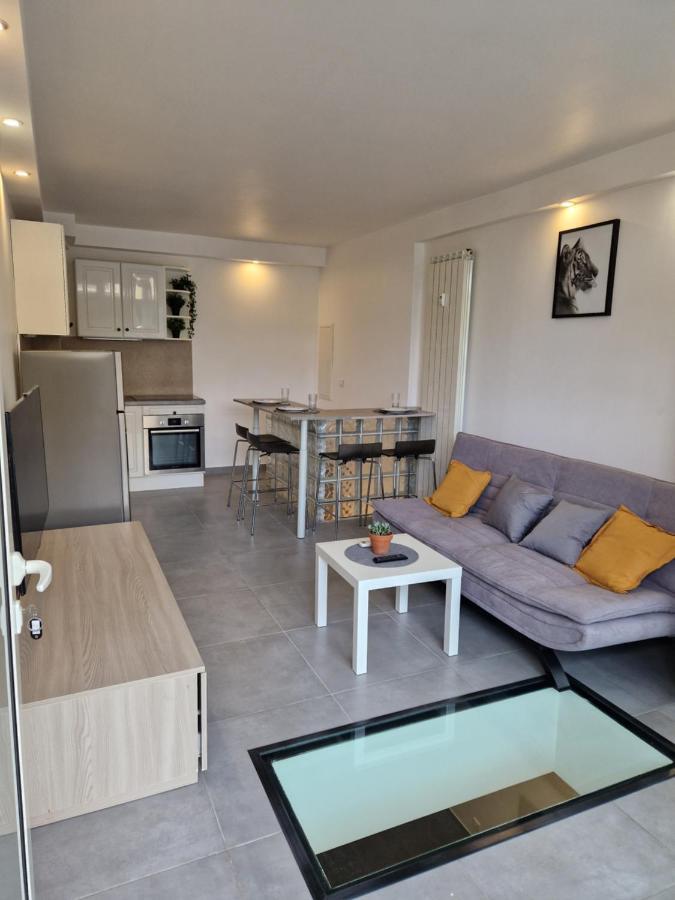 Apartment Souplex Avec Place De Parking